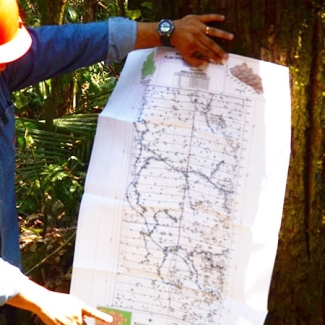 cfb-sustentabilidad-inventario