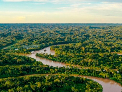 destacada-ley-forestal-bosque-tropìcal