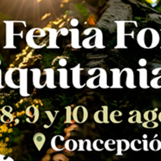 destacado-2025-feria-concepcion-banenr-web