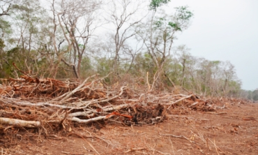 20251203-parlamento-europeo-deforestacion