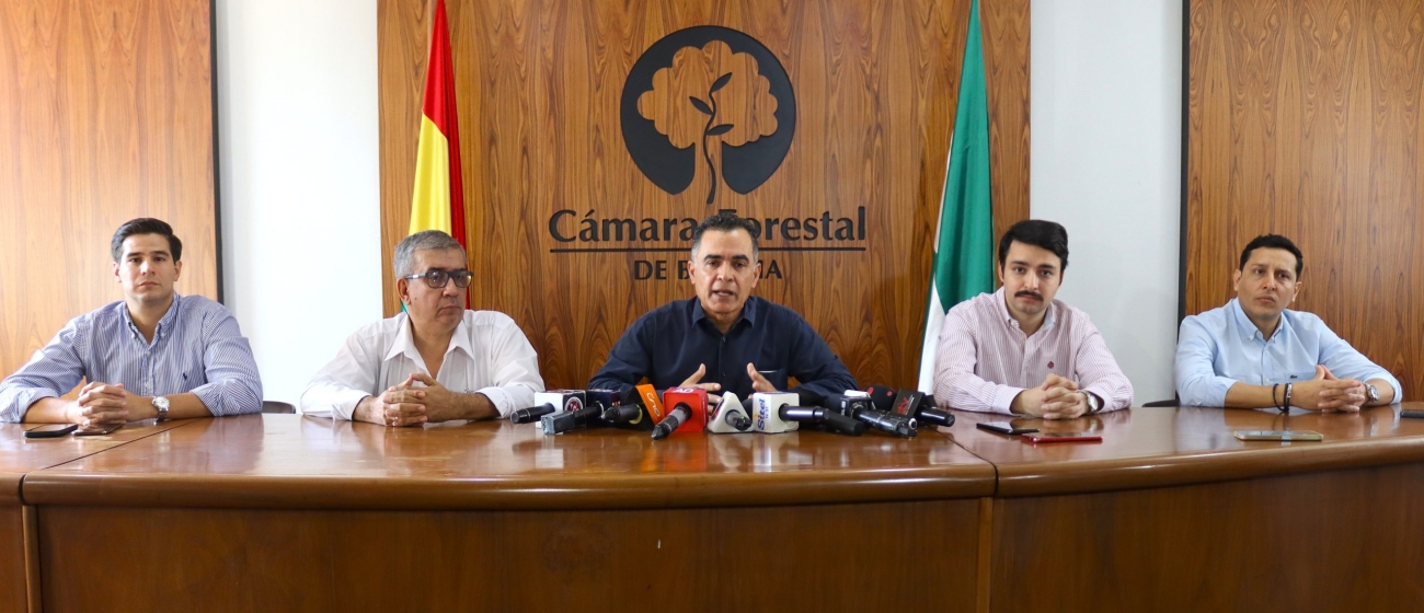 206-07-16-conferencia-pedro-colanzi