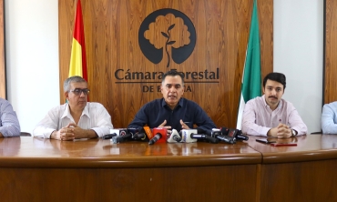 206-07-16-conferencia-pedro-colanzi