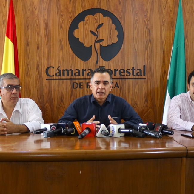 206-07-16-conferencia-pedro-colanzi