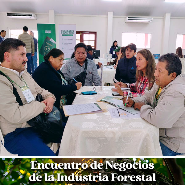 2025-encuentro-de-negocios-forestal-concepcion-3