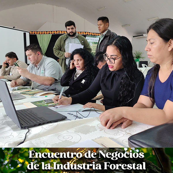 2025-encuentro-de-negocios-forestal-concepcion-4