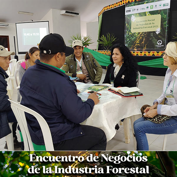 2025-encuentro-de-negocios-forestal-concepcion-5